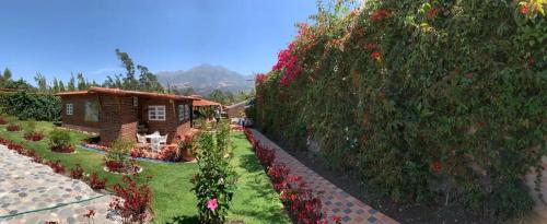 Casa Colibries Cotacachi EC in Cotacachi