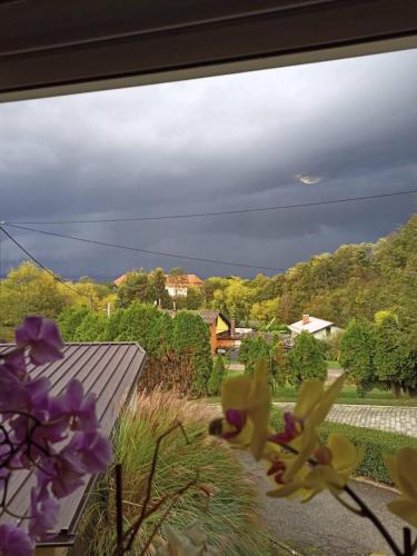 Kilátás, Apartmaji Divji vrt in Lendva