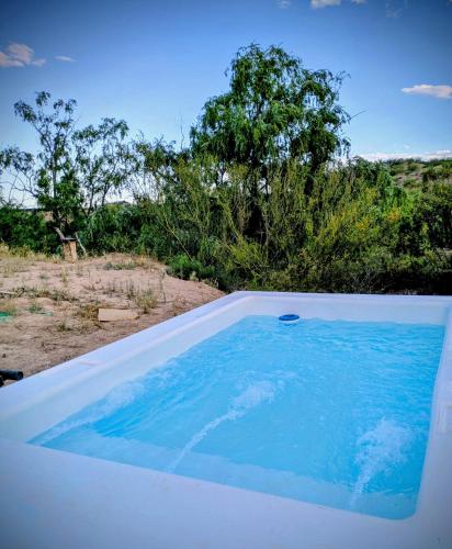 Úszómedence, Cabaña Container en Viñedos (Cabana Container en Vinedos) in Salto de las Rosas