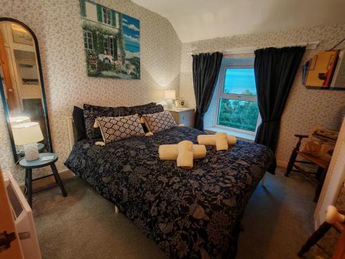 Fantastic sea views at Century's old Alma's Cottage - Sleeps up to 8 guests in Penmaenmawr