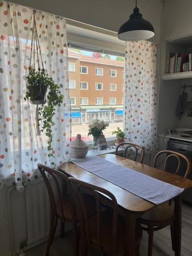 Simply furnished spacious apartment in Käpylä