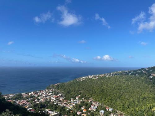 Élégant T2 avec vue sur la mer des Caraïbes (Elegant T2 avec vue sur la mer des Caraibes) in Schœlcher