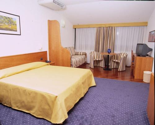 Hotel Serenella Hotel de charme Vertova
