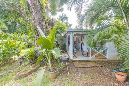 Le Curaçao, kaz dans jardin tropical avec piscine, Petit-Bourg (foto 8)