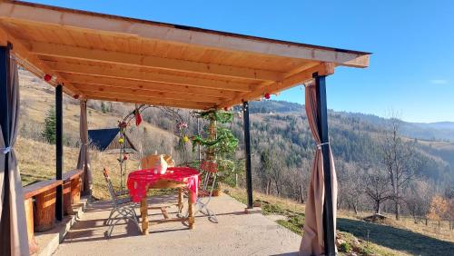 Casa din deal-Apuseni in Horea