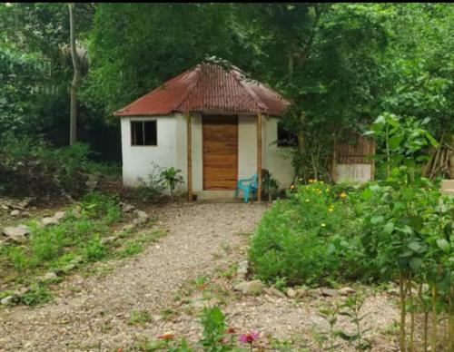 Coliving & Lodge
