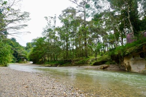 Nearby attraction, Ecotourism Bukit Lawang Bungalow in Bukit Lawang