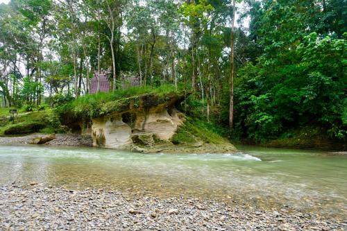 Nearby attraction, Ecotourism Bukit Lawang Bungalow in Bukit Lawang