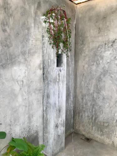 Amelia Villa - image 4