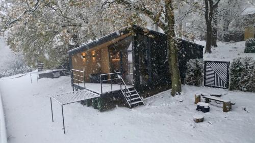 The Owl in Littlebeck