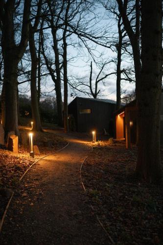 The Owl in Littlebeck