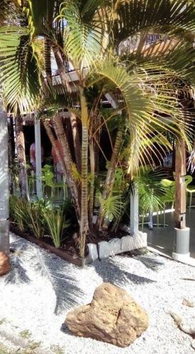 شرفة/ تراس, Hotel Des Amandiers in كاين