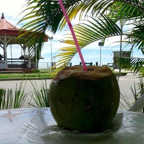 شاطئ, Hotel Des Amandiers in كاين