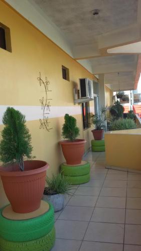Facilities, Hotel Plaza Palmero in San Pedro Sula