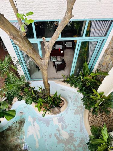 寧平 Tam Coc Brothers Homestay - Ninh Binh 酒店 泳池