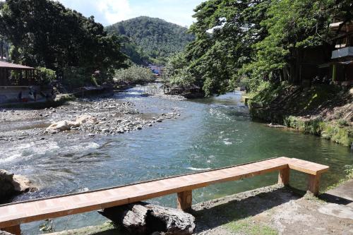 View, Fun Family Guest House n Jungle Tour in Bukit Lawang