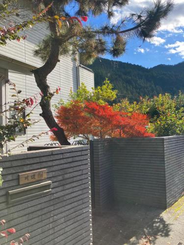 川辺-KAWABE-BBQ-川遊び-fishing