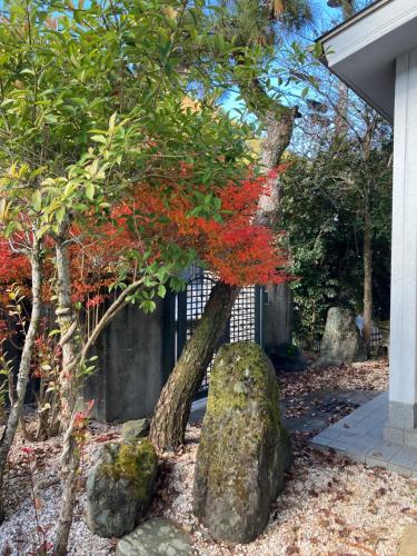 川辺-KAWABE-BBQ-川遊び-fishing