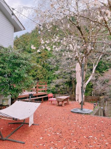 川辺-KAWABE-BBQ-川遊び-fishing