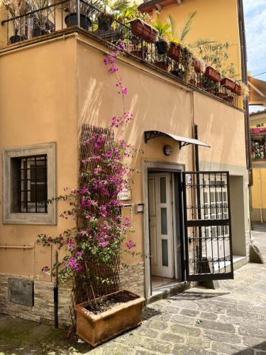 Udvendig, Gorgeous sunlit townhouse with terrace in medieval Pescia, Tuscany in Pescia