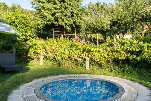 Quinta Do Crestelo Aparthotel - image 10