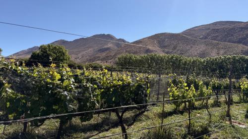 Skats, Hostería Viñas de Uquia (Hosteria Vinas de Uquia) in Uquía
