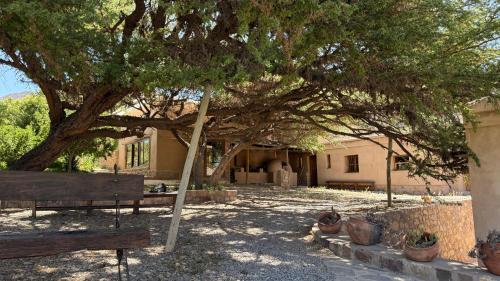 Restorāns, Hostería Viñas de Uquia (Hosteria Vinas de Uquia) in Uquía