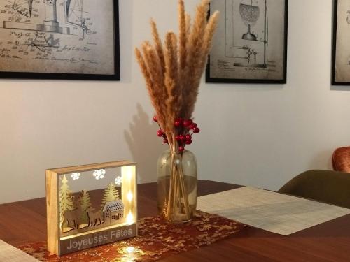 La Suite Des Légendes - Duplex de charme - Centre historique - Location saisonnière - Dole