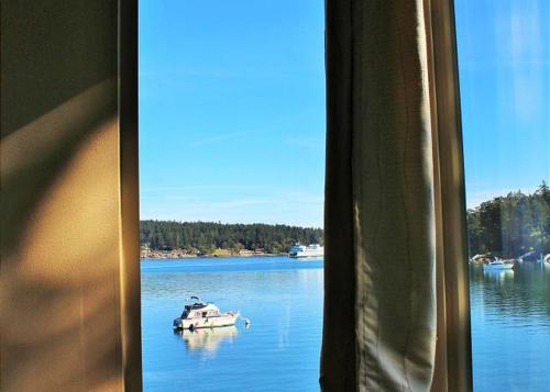 Friday Harbor Lights