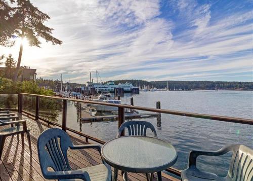 Friday Harbor Lights