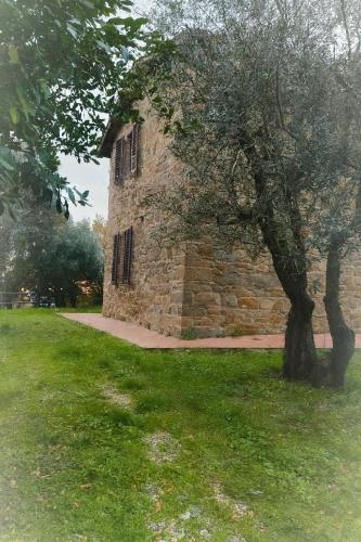 Agriturismo La Camporena 4