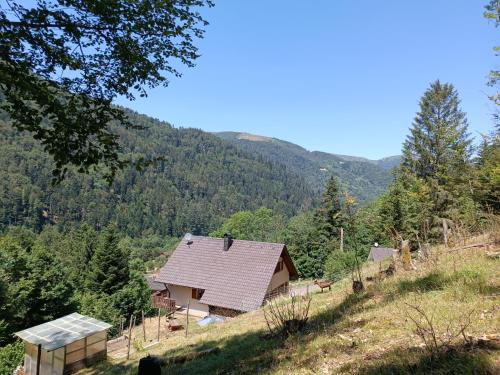 Skats, Maison nature et calme - 3 chambres - Vue montagne in Mitlaša