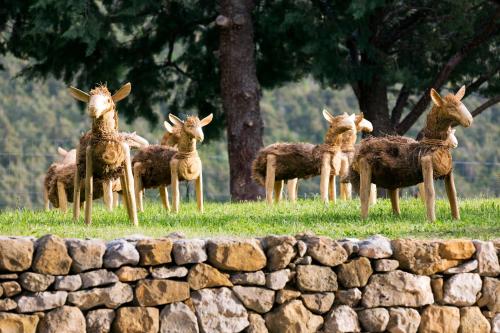 Hotel & Spa des Gorges du Verdon