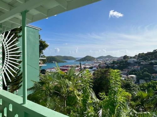 The Green Iguana Hotel in Charlotte Amalie