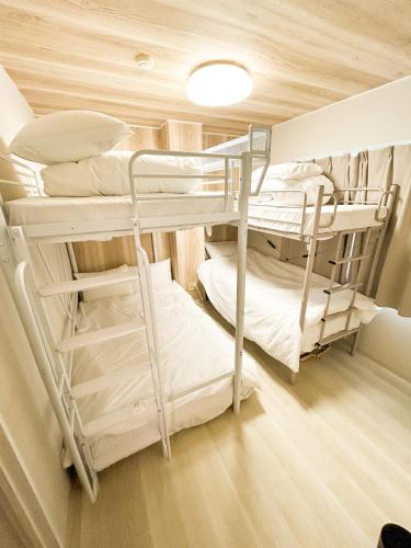 Shinjyuku area walk to Kabuki cho 15 min