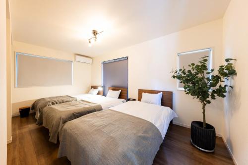 HAJIME STAY KASUGA 3 - Vacation STAY 85884v