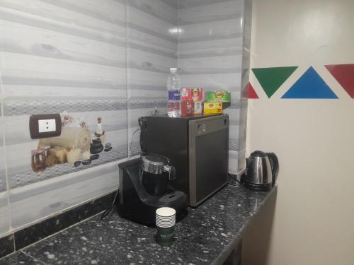 設施, OUNATY  in 阿布辛貝