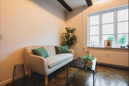 Luxury apartment with a view of the castle lake - 3 rooms in Hillerød