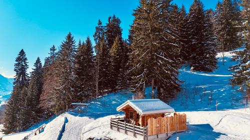 The Forest House in La Comballaz, Schweiz