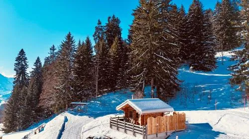 The Forest House in La Comballaz, Schweiz