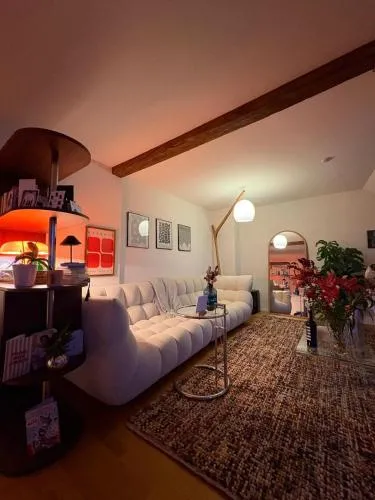 Cosy room in attic flat in the center of Zurich in Zürich, Schweiz