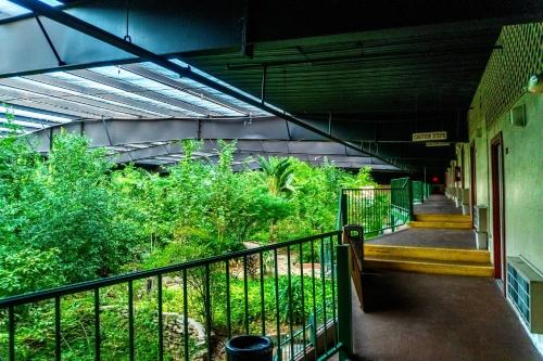 Kert, Family Garden Inn & Suites in Laredo (Texas)