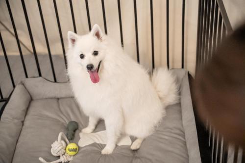 Relam Glamping Resort Gotemba