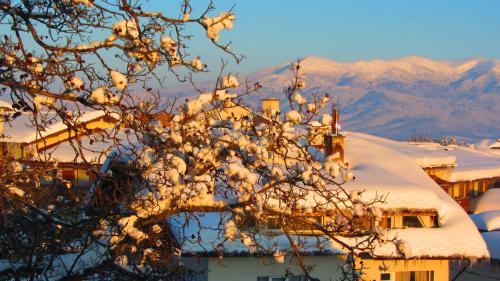 Family Hotel Santo Bansko 5