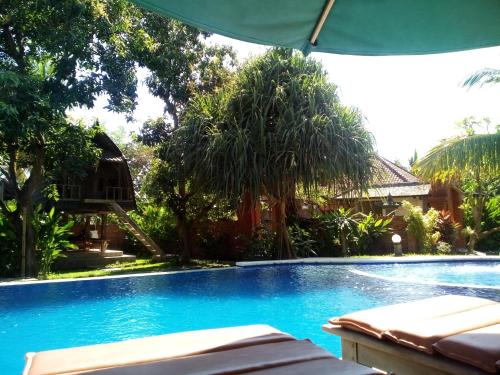 Swimming pool, Suka Sari Cottages Pemuteran in Pemuteran