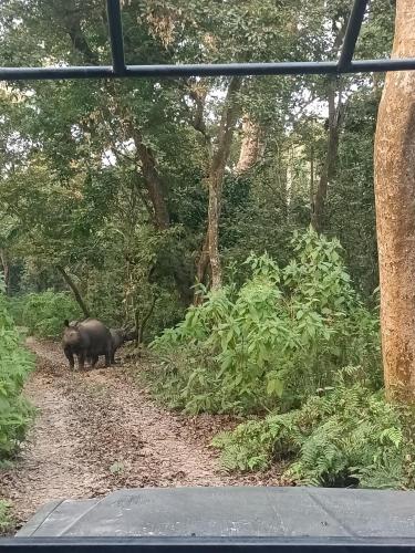 Narayani view resort in 梅格好利