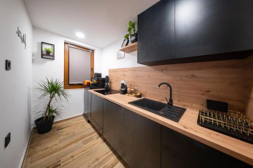 virtuve, Holiday home Tilia in Slatina