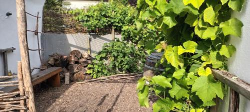 Kert, Fachwerkhaus mit Garten nah an Stadt und Natur in Unna