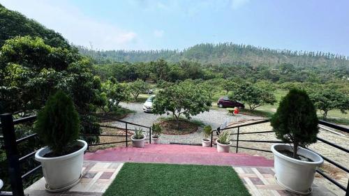 Katapathar Nature Resort