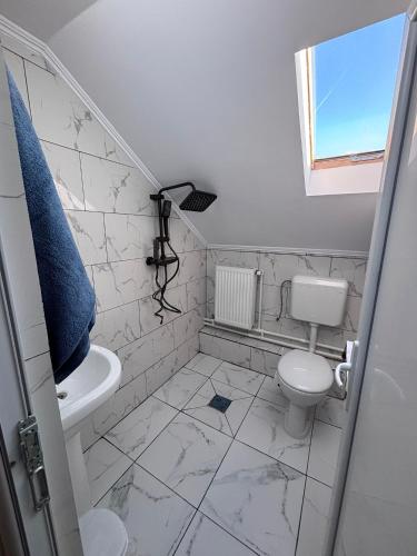 Casa Denisa Vidraru transfgarasan